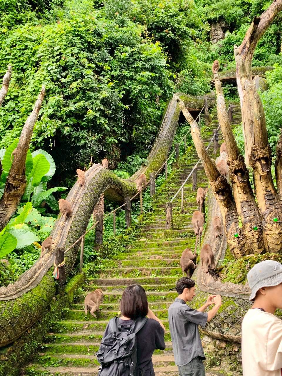 551223388_17925884238121314_3215871289775939220_n