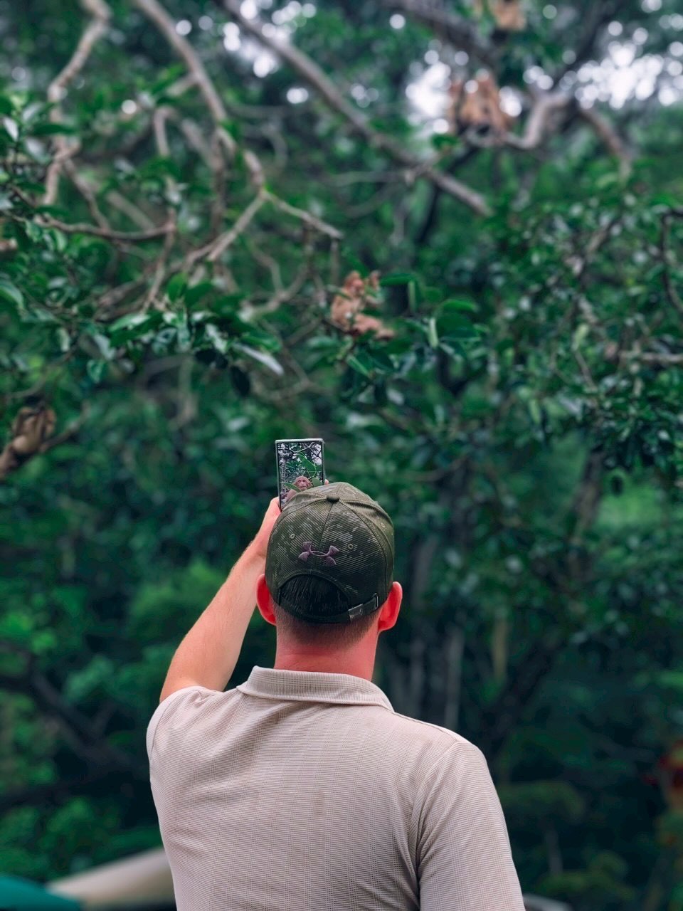 525246302_17919737988121314_8224585818029941430_n