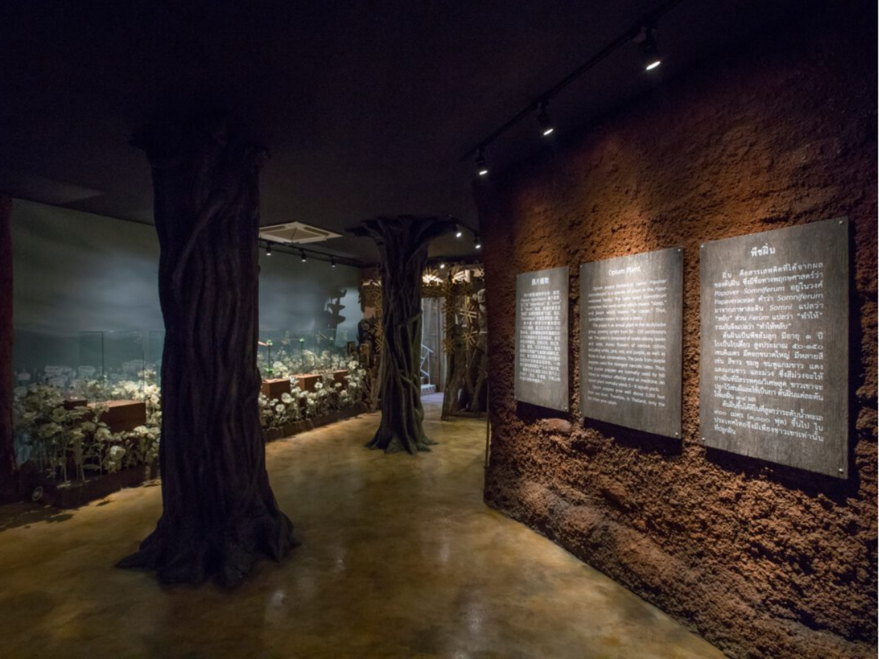 The House of Opium Museum: Learn About the History and Culture of Opium Cultivation